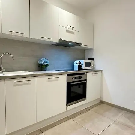 公寓 Guimet 1 Bedroom Tete D Or 里昂